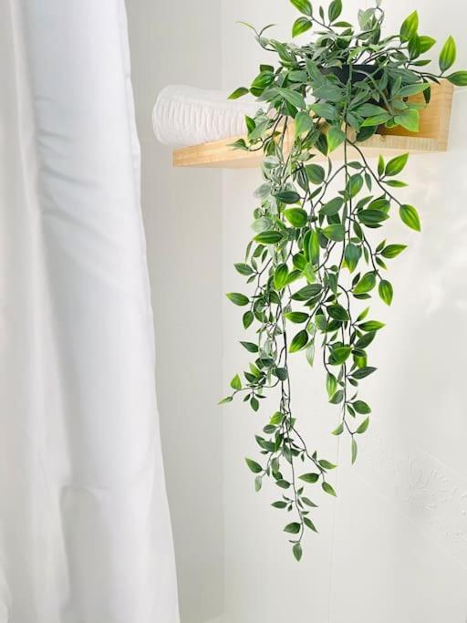 צ'יקלנה דה לה פרונטרה Marisma Home מראה חיצוני תמונה