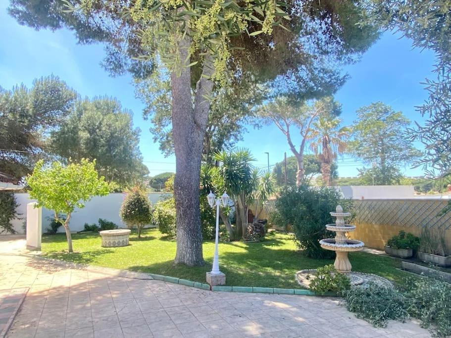 צ'יקלנה דה לה פרונטרה Marisma Home מראה חיצוני תמונה
