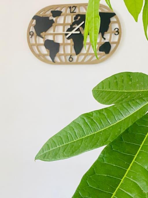 צ'יקלנה דה לה פרונטרה Marisma Home מראה חיצוני תמונה